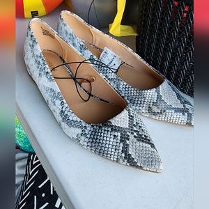 Express flats